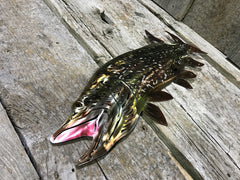 High Gloss Northern Pike Steel Decor