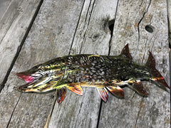 High Gloss Northern Pike Steel Decor